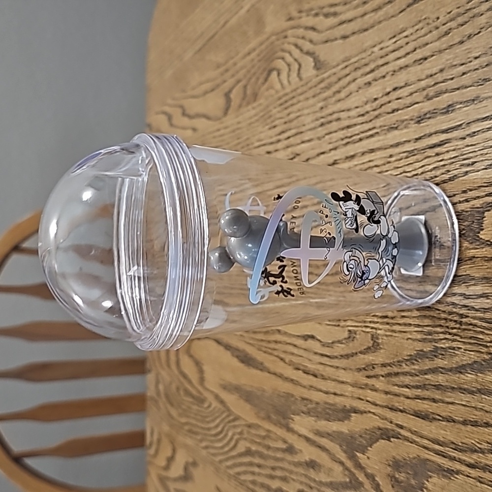 ZAK Disney Tumbler